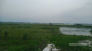 সুনামগঞ্জে নদ-নদী টইটম্বুর, কিন্তু হাওরে পানি নেই