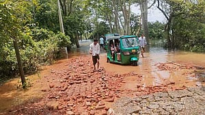বন্যা: সিলেটে কৃষি, মাছ ও রাস্তার ক্ষতি ৭৭৯ কোটির বেশি