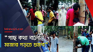 গাছ নিয়ে ‘গুজব’