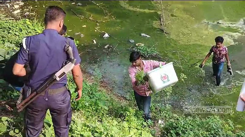 আখাউড়ায় ব্যালট বক্স ছিনতাইয়ের পর পুকুরে ফেলল যুবক