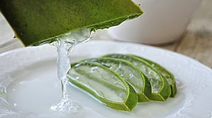 অ্যালো ভেরা মুখের ত্বকের জন্যেও উপকারী