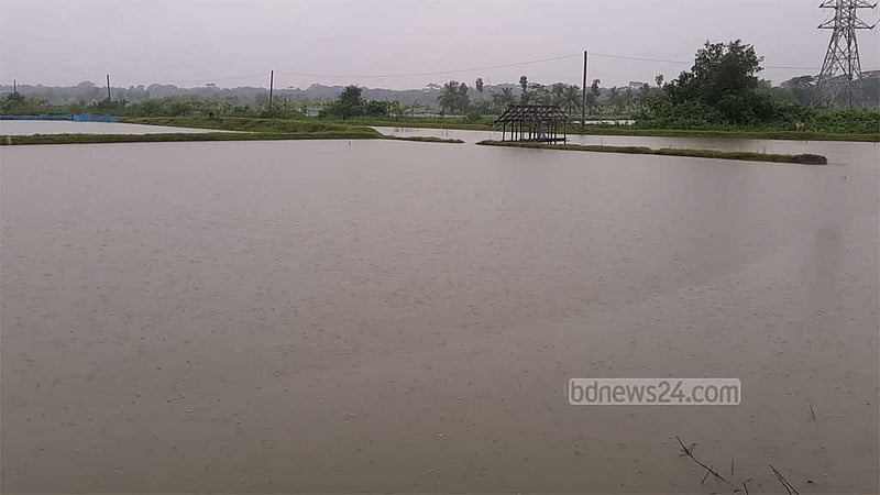 ঘূর্ণিঝড় রেমাল: বাগেরহাটে ভেসে গেছে ২০ হাজারের বেশি মাছের ঘের