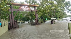 সুন্দরবনের নদী ফুলে বিস্তীর্ণ এলাকা প্লাবিত, বন্যপ্রাণী নিয়ে শঙ্কা