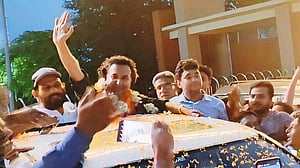 জামিনে মুক্ত বিএনপি নেতা সোহেল