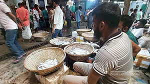 পদ্মা-মেঘনায় জাল ফেলেছে জেলে, ইলিশ কম