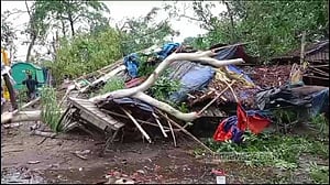 কালবৈশাখীতে উপড়ে গেছে গাছ, বিদ্যুৎবিচ্ছিন্ন দিনাজপুর