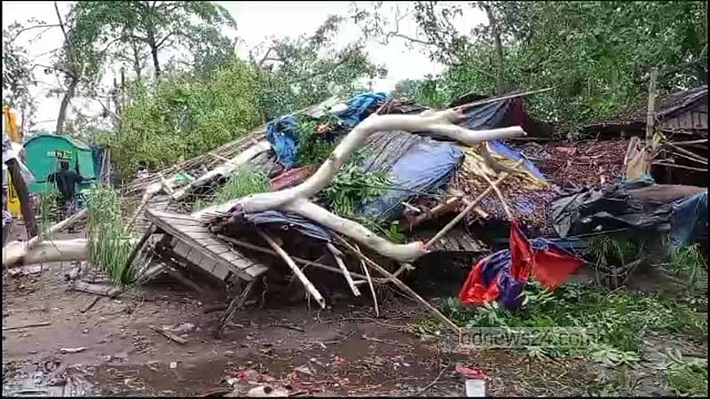 কালবৈশাখীতে উপড়ে গেছে গাছ, বিদ্যুৎবিচ্ছিন্ন দিনাজপুর
