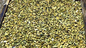 কোরবানির আগে চড়ছে মসলার বাজার