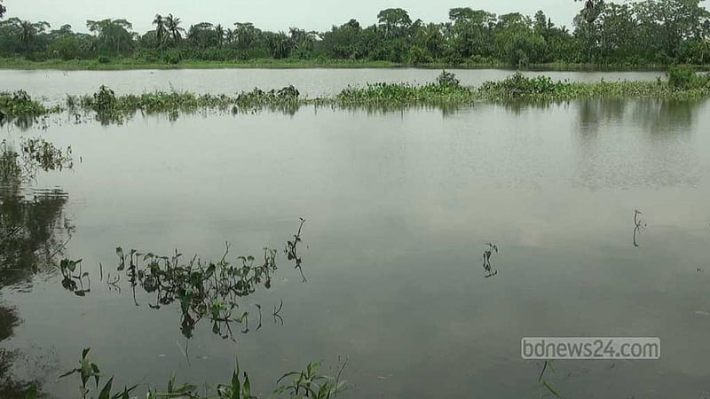 রেমাল: গোপালগঞ্জে মাছ চাষিদের হাহাকার