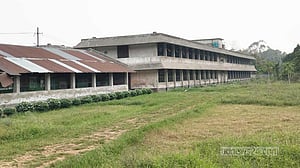 বাচ্চা হয়ে থাকতেই আগ্রহী সরকারি মুরগির খামার