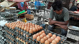 ডিম: খামারি পাচ্ছে বাড়তি ৬৫ পয়সা, ভোক্তার যাচ্ছে ২ টাকা