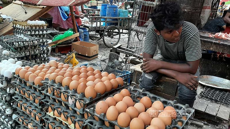 ডিম: খামারি পাচ্ছে বাড়তি ৬৫ পয়সা, ভোক্তার যাচ্ছে ২ টাকা