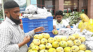 আগাম আম দামে বেশি স্বাদে কম, কিন্তু ধ্বংস কেন?