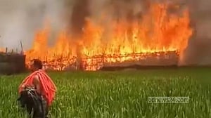রাজশাহীতে আগুনে পুড়ল শত বিঘা জমির পান বরজ