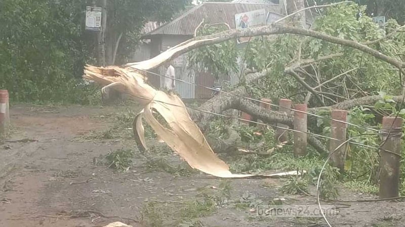 রেমালের তাণ্ডব: শরীয়তপুরে বিদ্যুৎ বিচ্ছিন্ন সাড়ে ৪ লাখ মানুষ