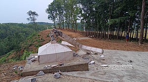 ফাতেমা রানীর তীর্থস্থানে বন্যহাতির তাণ্ডব, গুড়িয়ে দিয়েছে ক্রুশ-গুম্বজ