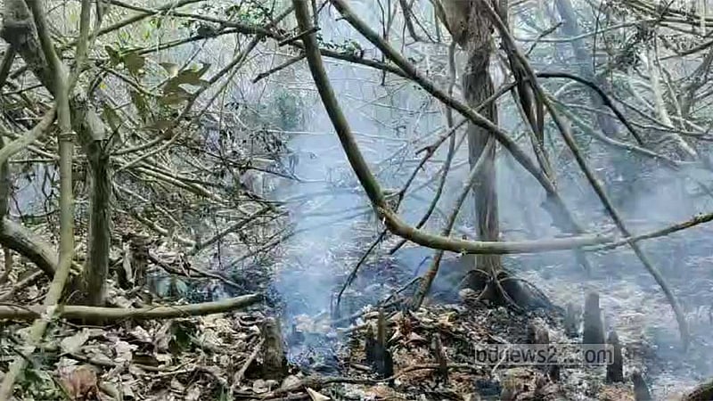 সুন্দরবনে আগুন: ঘটনাস্থলে ফায়ার সার্ভিস, কাজ করবে রোববার থেকে