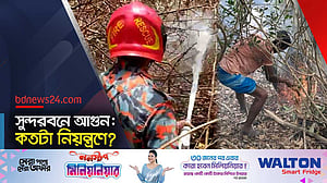 সুন্দরবনের ৪ একর এলাকায় ছড়ায় আগুন