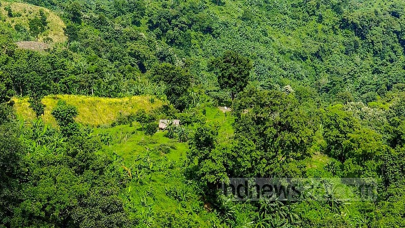 ‘বম পার্টির’ আস্তানায় সেনা অভিযান, অস্ত্র উদ্ধার