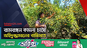 রামরঙ্গন কমলা চাষে সফল একজন