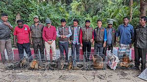 কক্সবাজারে বিএনপি নেতার বাড়ি থেকে ১২ মুখপোড়া হনুমান উদ্ধার