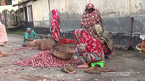হিলি স্থলবন্দর দিয়ে আসা বিপুল পেঁয়াজ নষ্ট হয়েছে