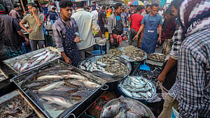 যাত্রাবাড়ীর মাছের আড়ত