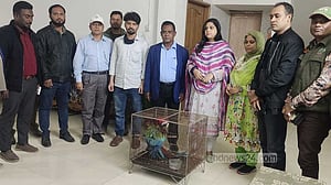 গাজীপুর সাফারি পার্কের বেষ্টনীর জাল কেটে ২ ম্যাকাও পাখি চুরি