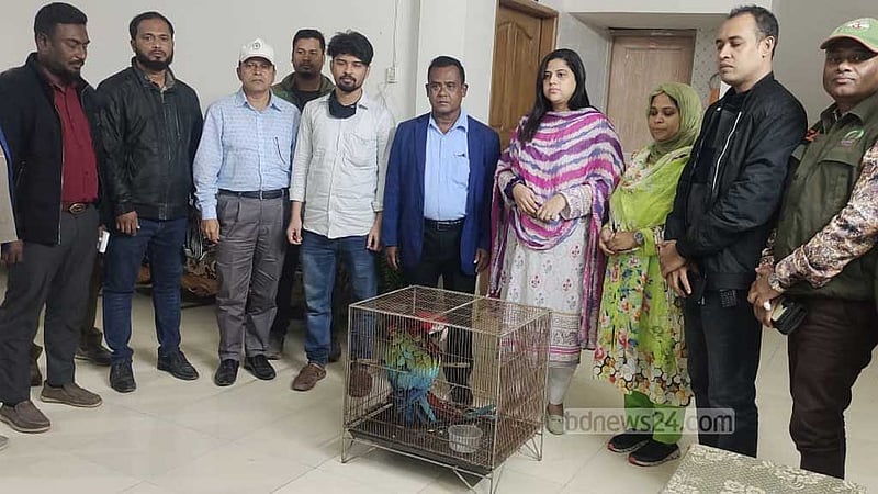 গাজীপুর সাফারি পার্কের বেষ্টনীর জাল কেটে ২ ম্যাকাও পাখি চুরি
