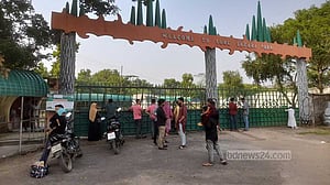 লুটপাট-ভাঙচুরের ক্ষত নিয়ে খুলেছে সাফারি পার্ক, প্রথম দিনই দর্শনার্থী ‘খরা’