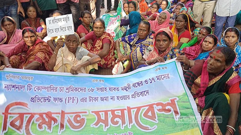 পাত্রখোলা চা বাগানে বিক্ষোভ: ‘উনুনে বসানোর চাল নেই’