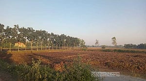 পঞ্চগড়ের তাপমাত্রা নেমেছে ১২.২ ডিগ্রিতে