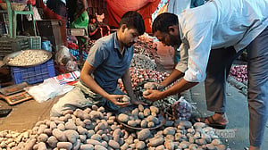 ৪০ টাকায় আলু বিক্রি করবে টিসিবি