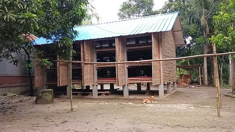 পেঁয়াজ সংরক্ষণের মডেল ঘরে মেলেনি ‘কাঙ্ক্ষিত সুফল’