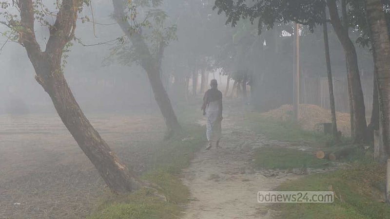 ঘন কুয়াশা আর হিমেল হাওয়ায় শেরপুরে শীতের আমেজ
