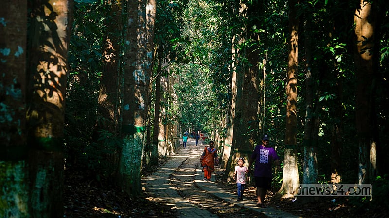 শ্রীমঙ্গলে যে দুটি জায়গায় যাওয়া পণ্ডশ্রম