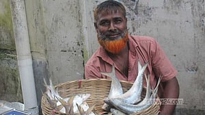 হাত ঘুরলেই দাম বাড়ে ইলিশের, ‘লাভের গুড়’ খায় মধ্যস্বত্বভোগীরা