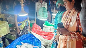 নিষেধাজ্ঞা: চাঁদপুরে ১৯৫ কেজি ইলিশ জব্দ, ৩ ব্যবসায়ীকে জরিমানা
