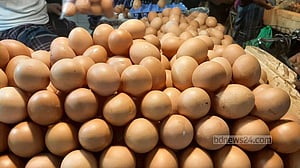 এক ডিম ১৫ টাকা