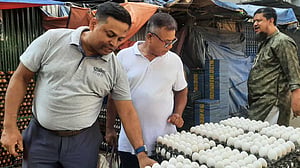 ডিমের দাম বাড়ল কেন