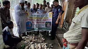 ইলিশ ধরায় নিষেধাজ্ঞা: মুন্সীগঞ্জে ৮ জনকে জরিমানা, মাছ জব্দ