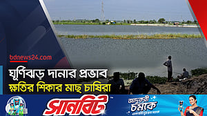 সাতক্ষীরায় ভেসে গেছে ১২ কোটি টাকার মাছ