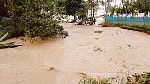 শেরপুরের বন্যা: মৃত্যু বেড়ে চার, ফসলের ব্যাপক ক্ষতি