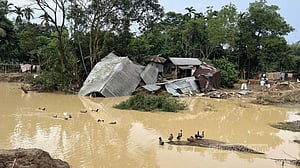 শেরপুরের বন্যা: কৃষি খাতেই ক্ষতি ৫০০ কোটি টাকা