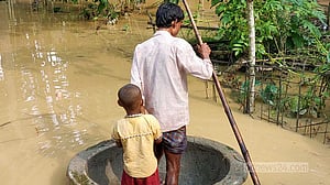 শেরপুরে বন্যার উন্নতি, কৃষি-মাছের ব্যাপক ক্ষতি