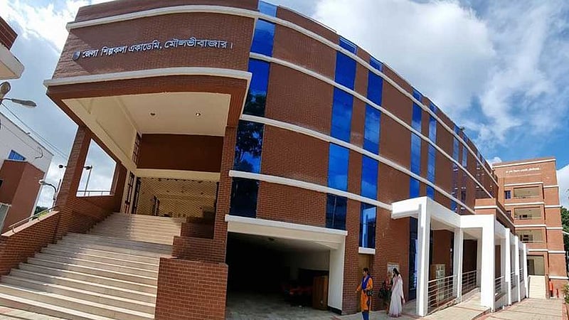 জেলা ও উপজেলা শিল্পকলা একাডেমির কার্যনির্বাহী কমিটি বাতিল
