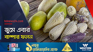 জুমে সচল জীবিকা: পাহাড়ে কৃষিতে সরকারি বরাদ্দ দাবি