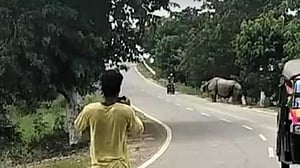 আসামে মোটরসাইকেল আরোহীকে তাড়া করে মারল গণ্ডার