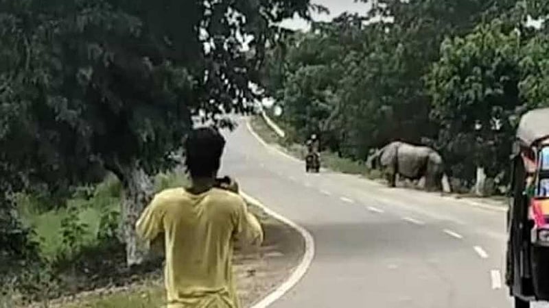 আসামে মোটরসাইকেল আরোহীকে তাড়া করে মারল গণ্ডার