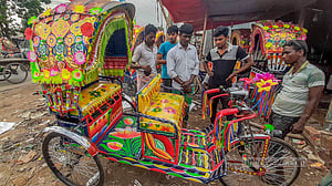ব্যাটারিচালিত রিকশা ব্যবস্থাপনায় নীতিমালা হচ্ছে: মীর শাহে আলম